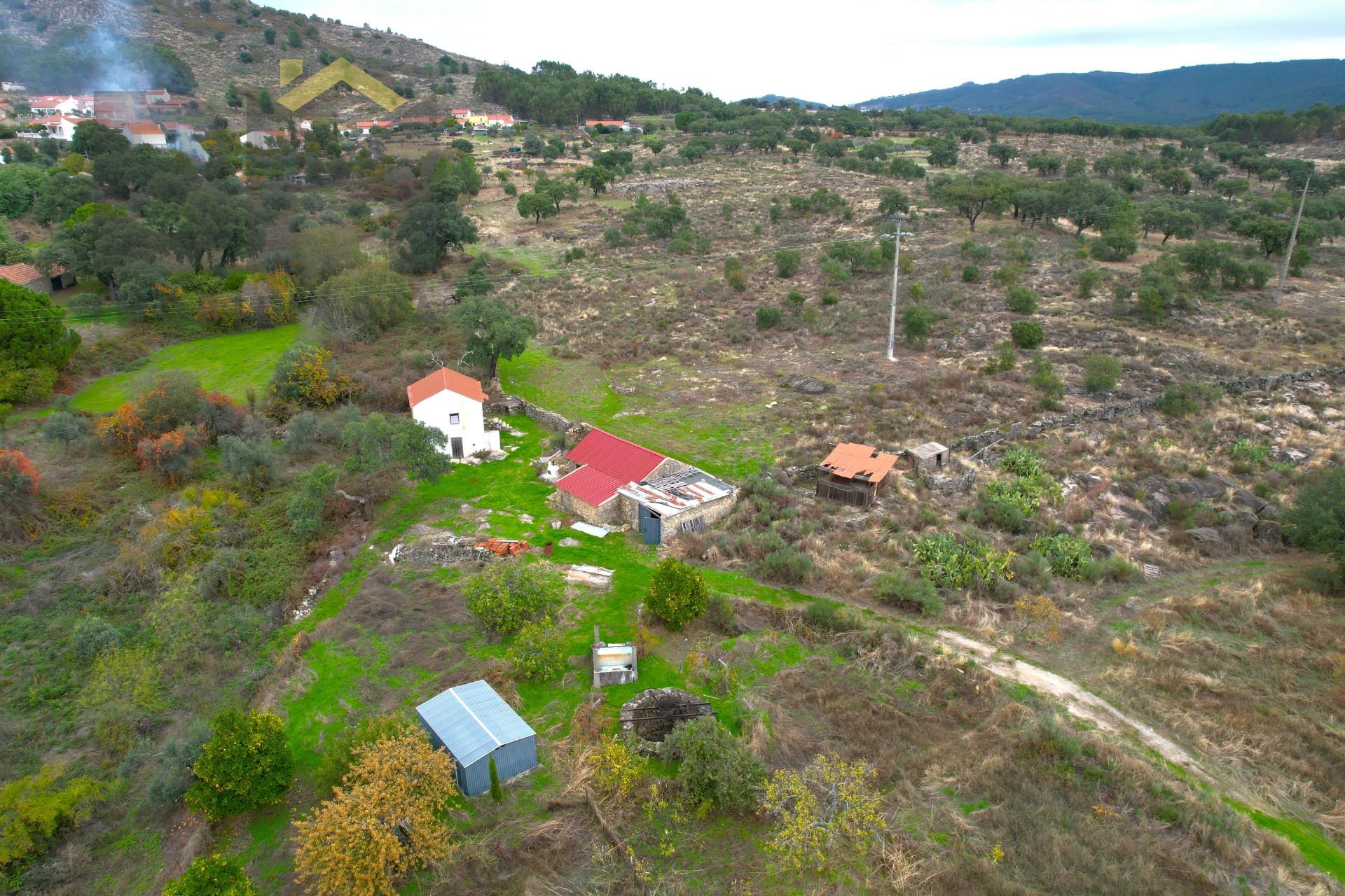 Quinta  Venda em Monsanto e Idanha-a-Velha,Idanha-a-Nova