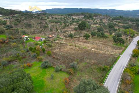 Quinta  Venda em Monsanto e Idanha-a-Velha,Idanha-a-Nova