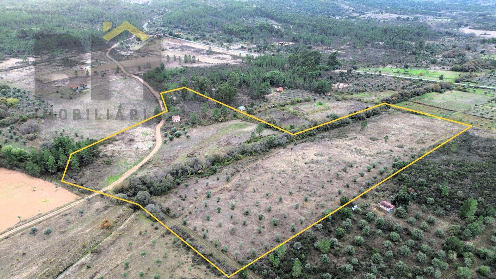 Quinta  Venda em Freixial e Juncal do Campo,Castelo Branco