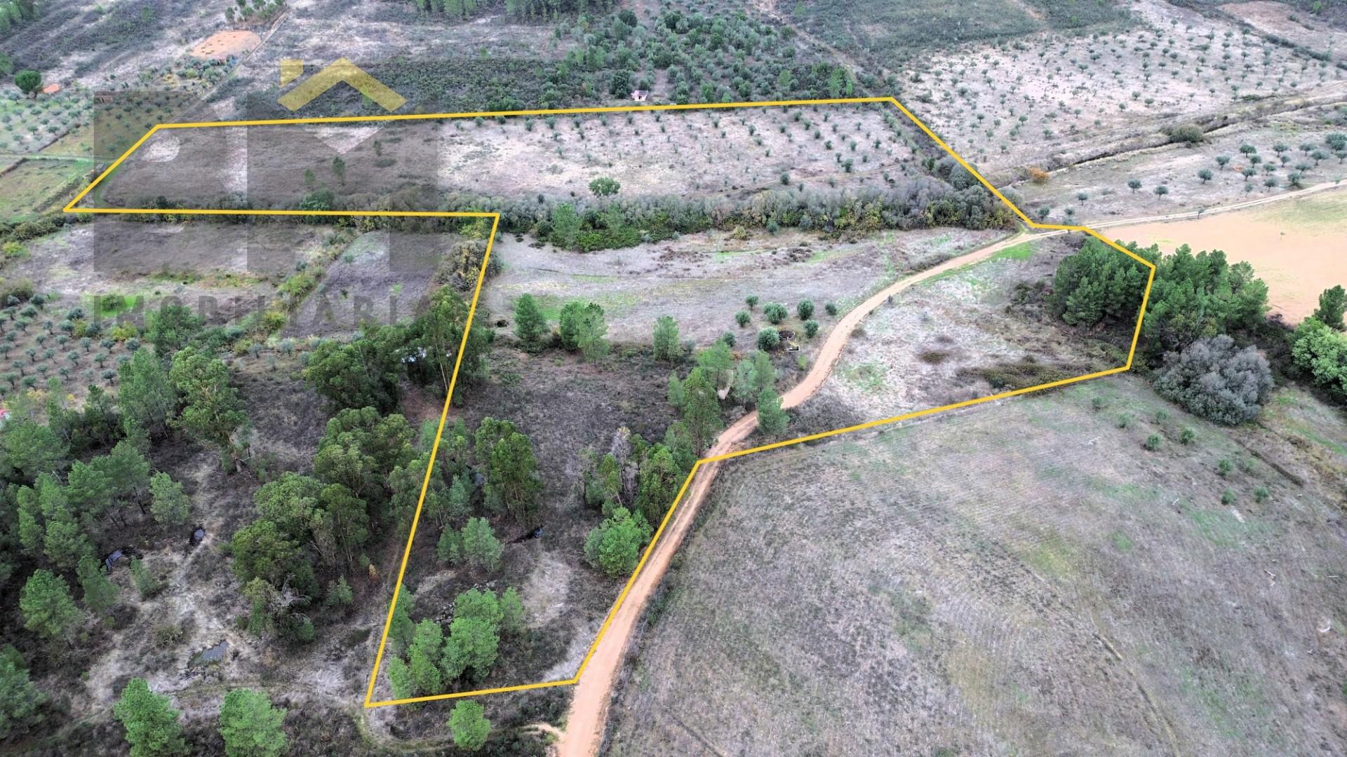 Quinta  Venda em Freixial e Juncal do Campo,Castelo Branco