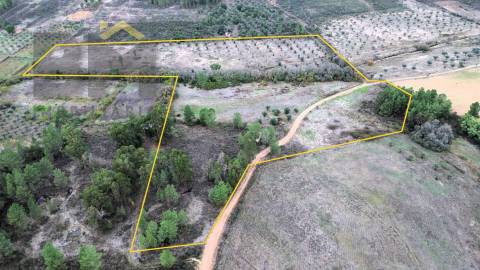 Quinta  Venda em Freixial e Juncal do Campo,Castelo Branco