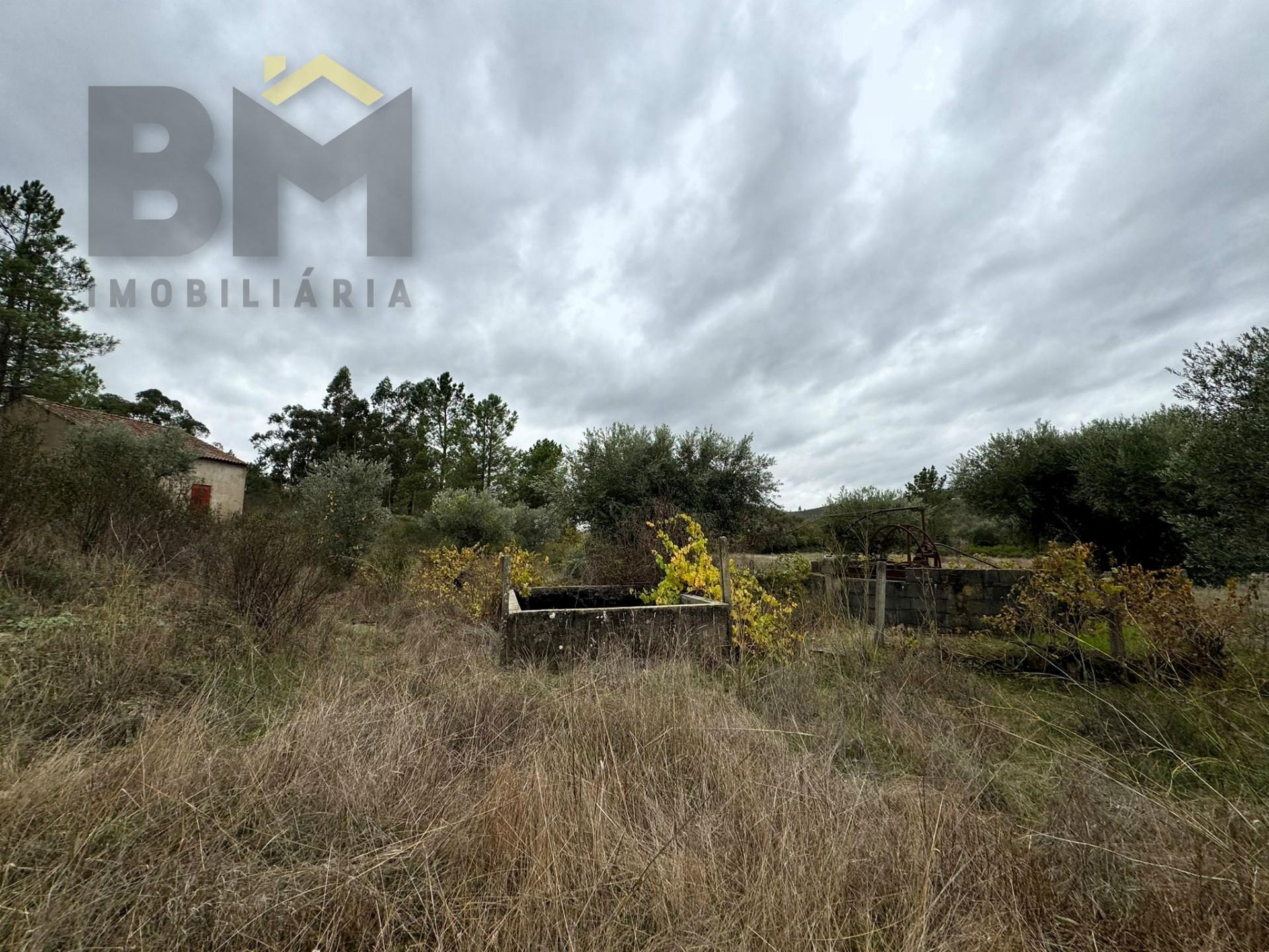Quinta  Venda em Freixial e Juncal do Campo,Castelo Branco