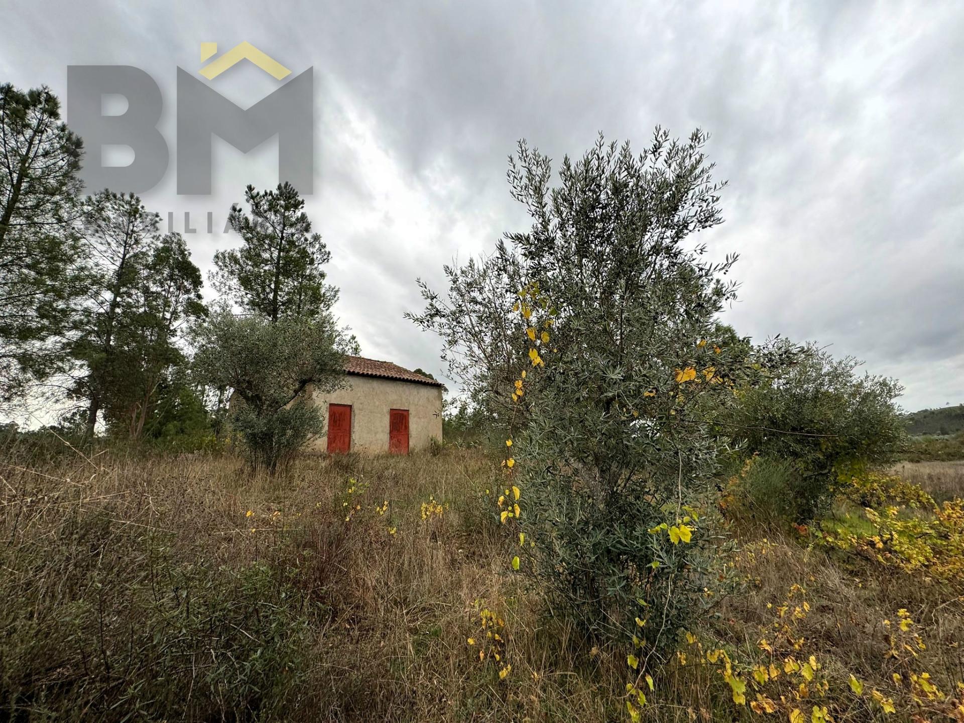 Quinta  Venda em Freixial e Juncal do Campo,Castelo Branco