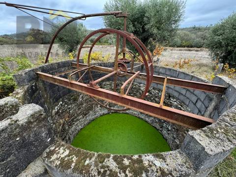 Quinta  Venda em Freixial e Juncal do Campo,Castelo Branco