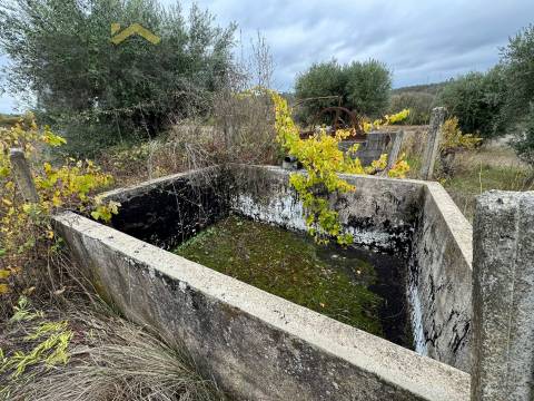 Quinta  Venda em Freixial e Juncal do Campo,Castelo Branco