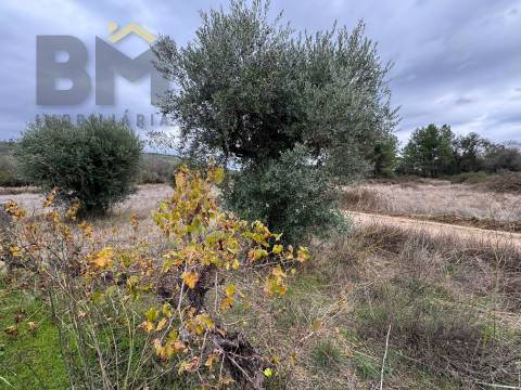 Quinta  Venda em Freixial e Juncal do Campo,Castelo Branco