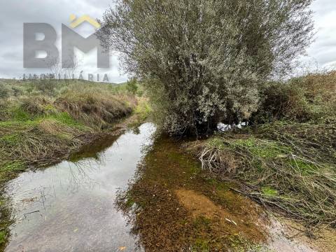 Quinta  Venda em Freixial e Juncal do Campo,Castelo Branco