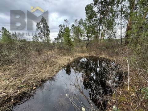 Quinta  Venda em Freixial e Juncal do Campo,Castelo Branco