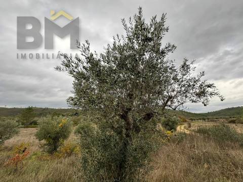 Quinta  Venda em Freixial e Juncal do Campo,Castelo Branco