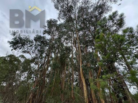 Quinta  Venda em Freixial e Juncal do Campo,Castelo Branco