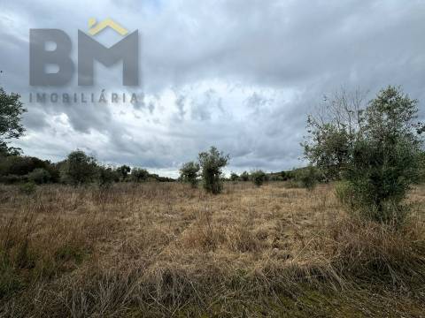 Quinta  Venda em Freixial e Juncal do Campo,Castelo Branco