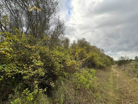 Quinta  Venda em Freixial e Juncal do Campo,Castelo Branco