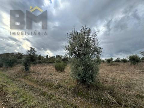 Quinta  Venda em Freixial e Juncal do Campo,Castelo Branco