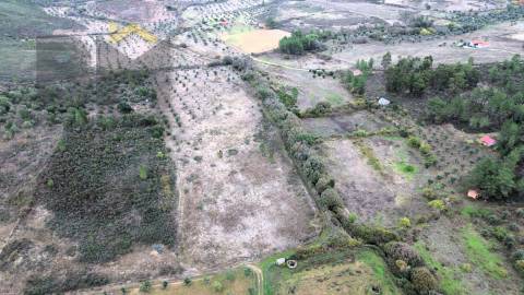 Quinta  Venda em Freixial e Juncal do Campo,Castelo Branco