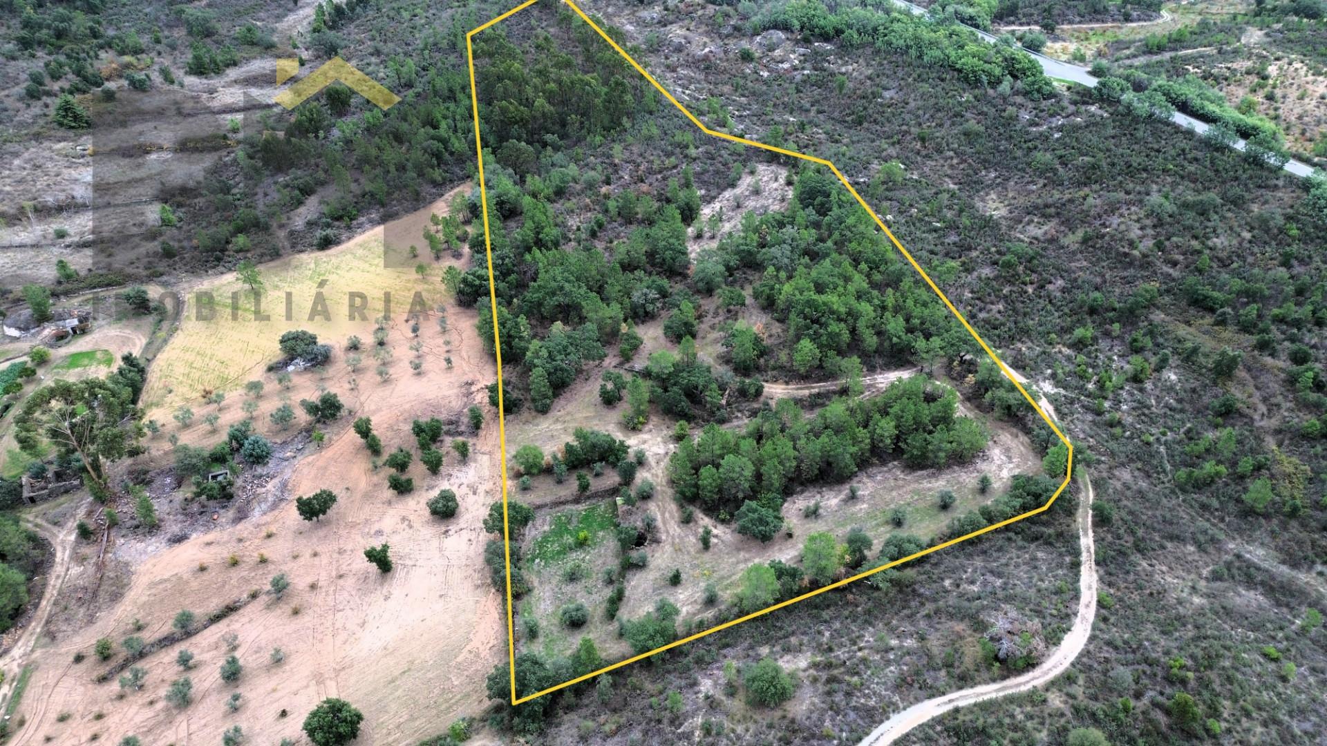 Quinta  Venda em Freixial e Juncal do Campo,Castelo Branco