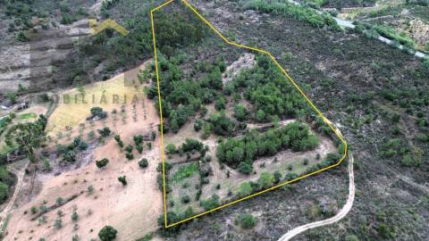 Quinta  Venda em Freixial e Juncal do Campo,Castelo Branco