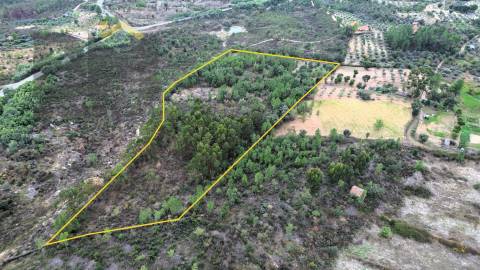 Quinta  Venda em Freixial e Juncal do Campo,Castelo Branco