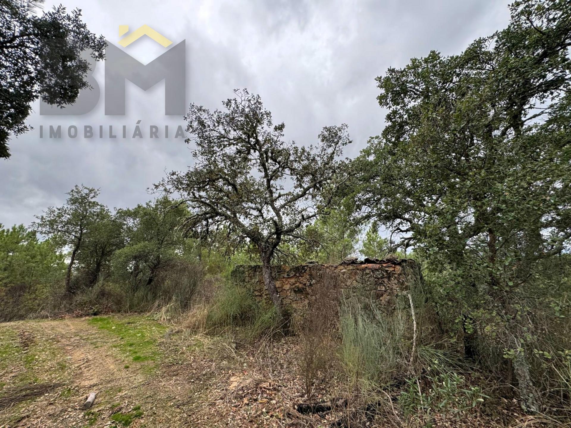 Quinta  Venda em Freixial e Juncal do Campo,Castelo Branco