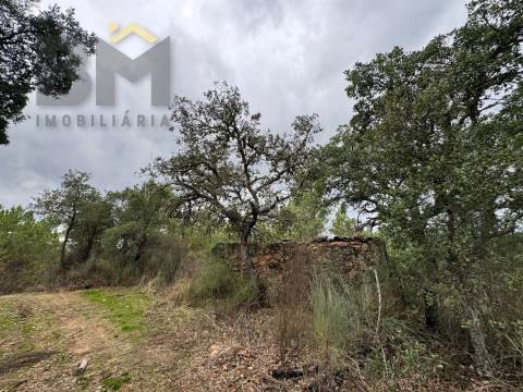 Quinta  Venda em Freixial e Juncal do Campo,Castelo Branco