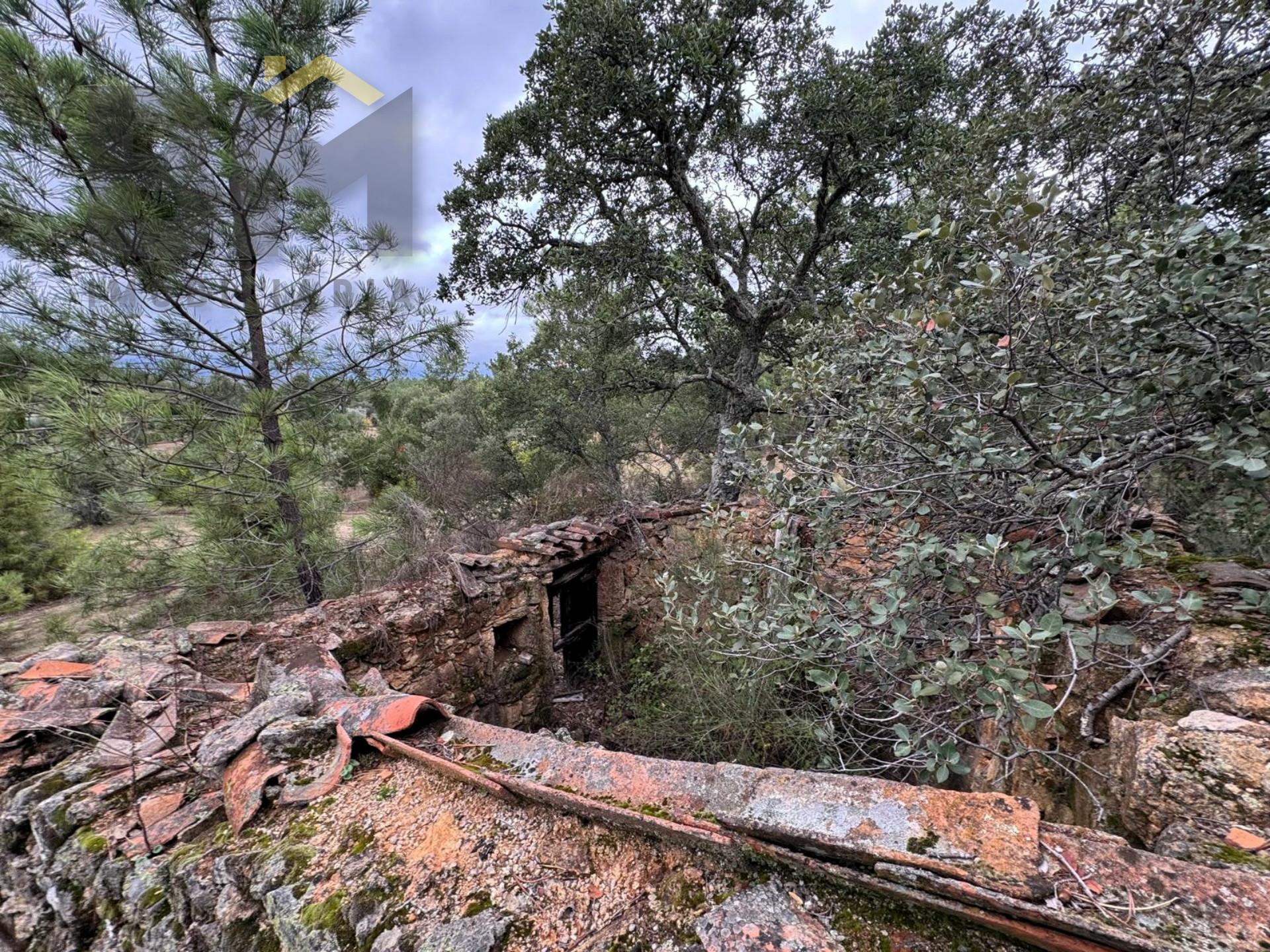 Quinta  Venda em Freixial e Juncal do Campo,Castelo Branco