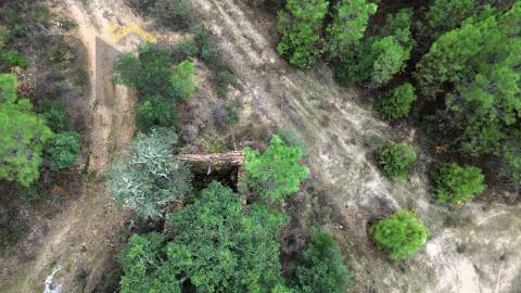 Quinta  Venda em Freixial e Juncal do Campo,Castelo Branco