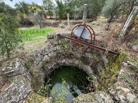 Quinta  Venda em Freixial e Juncal do Campo,Castelo Branco