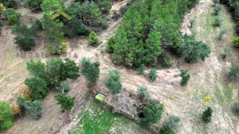 Quinta  Venda em Freixial e Juncal do Campo,Castelo Branco