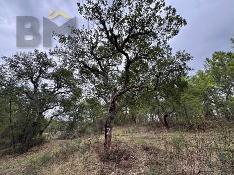 Quinta  Venda em Freixial e Juncal do Campo,Castelo Branco