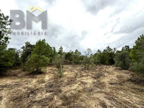Quinta  Venda em Freixial e Juncal do Campo,Castelo Branco