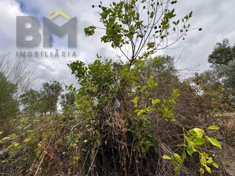 Quinta  Venda em Freixial e Juncal do Campo,Castelo Branco