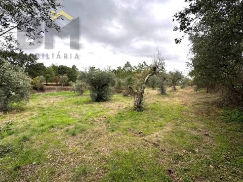 Quinta  Venda em Freixial e Juncal do Campo,Castelo Branco
