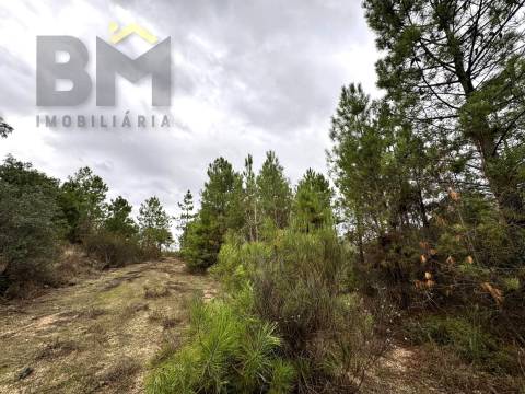 Quinta  Venda em Freixial e Juncal do Campo,Castelo Branco