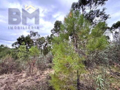 Quinta  Venda em Freixial e Juncal do Campo,Castelo Branco