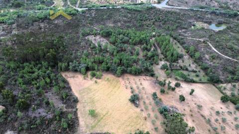 Quinta  Venda em Freixial e Juncal do Campo,Castelo Branco