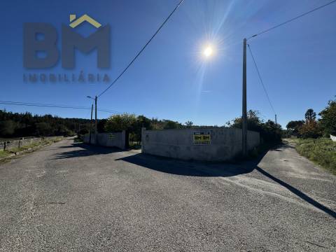 Terreno Rústico  Venda em Margem,Gavião