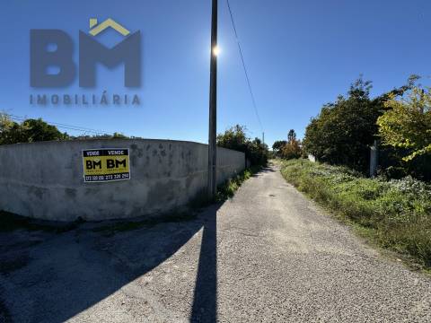 Terreno Rústico  Venda em Margem,Gavião
