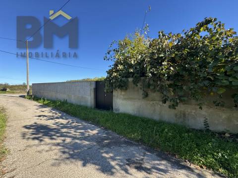 Terreno Rústico  Venda em Margem,Gavião