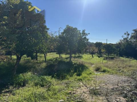 Terreno Rústico  Venda em Margem,Gavião