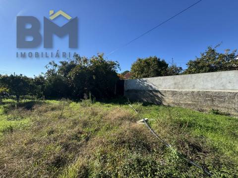 Terreno Rústico  Venda em Margem,Gavião
