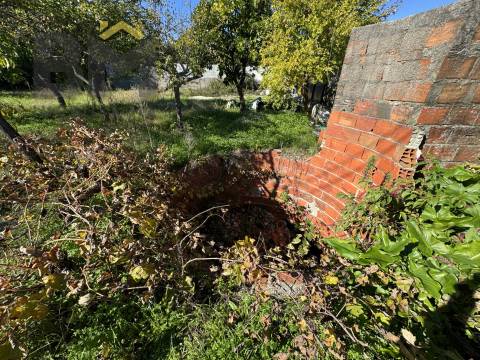 Terreno Rústico  Venda em Margem,Gavião