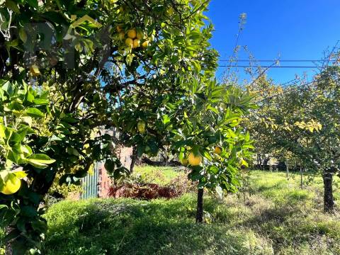 Terreno Rústico  Venda em Margem,Gavião