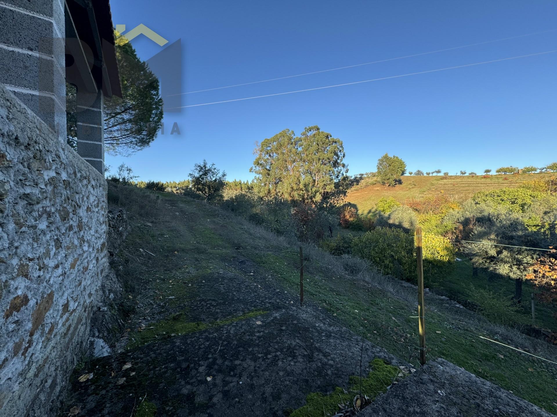 Quinta  Venda em Escalos de Baixo e Mata,Castelo Branco