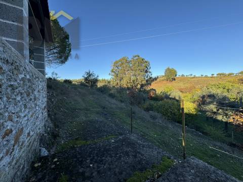 Quinta  Venda em Escalos de Baixo e Mata,Castelo Branco