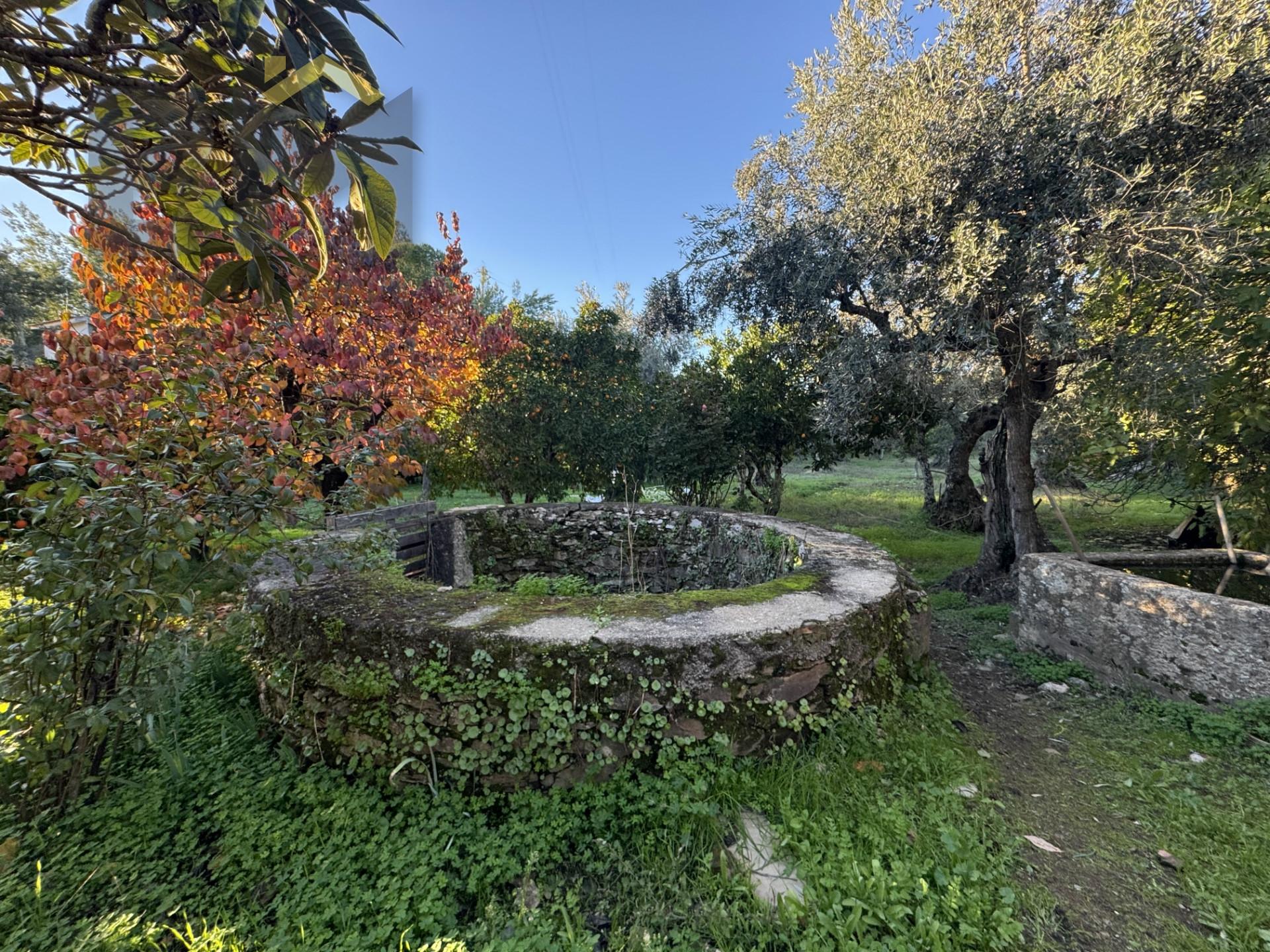 Quinta  Venda em Escalos de Baixo e Mata,Castelo Branco