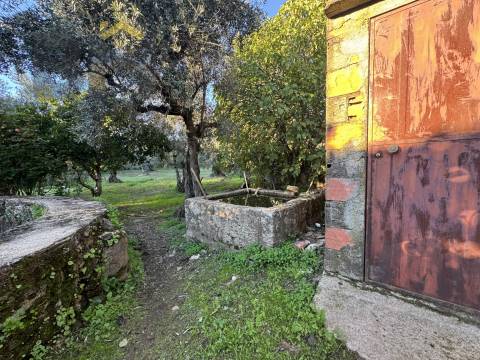 Quinta  Venda em Escalos de Baixo e Mata,Castelo Branco