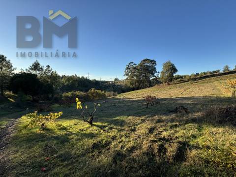 Quinta  Venda em Escalos de Baixo e Mata,Castelo Branco