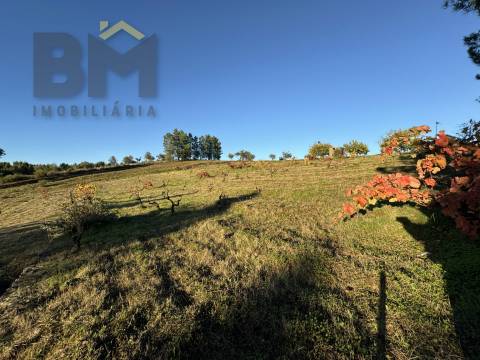 Quinta  Venda em Escalos de Baixo e Mata,Castelo Branco