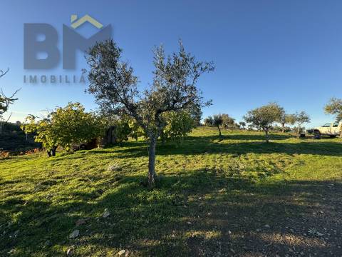 Quinta  Venda em Escalos de Baixo e Mata,Castelo Branco