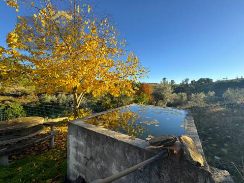 Quinta  Venda em Escalos de Baixo e Mata,Castelo Branco
