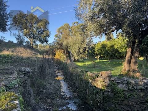 Quinta  Venda em Escalos de Baixo e Mata,Castelo Branco